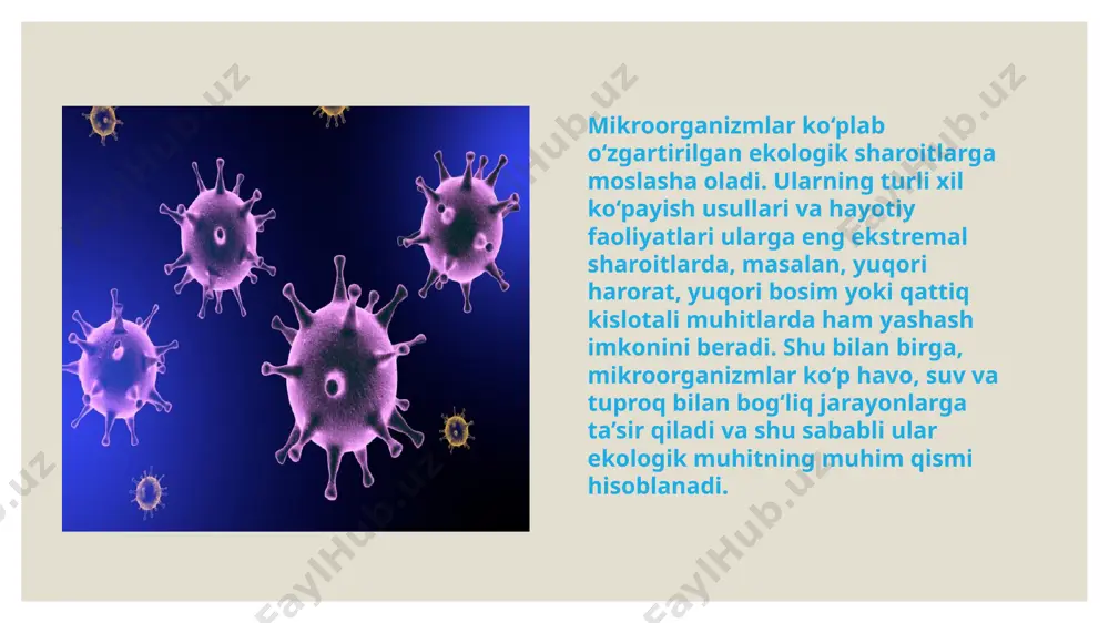 olib keladi. aspiratsiya usuli: afzalliklari: o’lchangan havo hajmi orqali aniqroq natijalar olish mumkin. turli xil muhitlardan (masalan, toza xonalardan yoki laboratoriyalardan) havo namunalarini olish imkoniyati. kamchiliklari: maxsus asbob-uskunalar talab qiladi. filtrlarni ishlatishda texnik murakkabliklar bo’lishi mumkin. tuproq mikroflorasini tekshirish usullari. tuproq mikroflorasini tekshirish usullari tuproqdagi mikroorganizmlar miqdorini va turlarini aniqlashda muhim rol o’ynaydi. ushbu usullar mikrobiologik, biokimyoviy va molekulyar usullarni o’z ichiga oladi, va ular tuproqning sog’ligi va unumdorligini baholashda keng qo’llaniladi. quyida tuproq mikroflorasini tekshirishning asosiy usullari haqida batafsil ma’lumot keltirilgan: 1. serial suyultirish va plastinkada ekish usuli: bu eng keng tarqalgan klassik mikrobiologik usul bo’lib, unda tuproq namunasi turli suyultirishlar bilan aralashtirilib, oziqlantiruvchi muhitga sepiladi. bakterial va qo’ziqorin koloniyalari o’sgach, ularning soni hisoblanadi. afzalliklari: mikrob koloniyalarini aniqlash va hisoblash imkonini beradi. tuproq mikroflorasini tahlil qilishda ishonchli va an’anaviy usul. kamchiliklari: faqat o’sishi mumkin bo’lgan mikroorganizmlar aniqlanadi. ba’zi mikroblar (masalan, anaerob yoki noan’anaviy sharoitlarni talab qiluvchi bakteriyalar) sezilmasligi mumkin. …