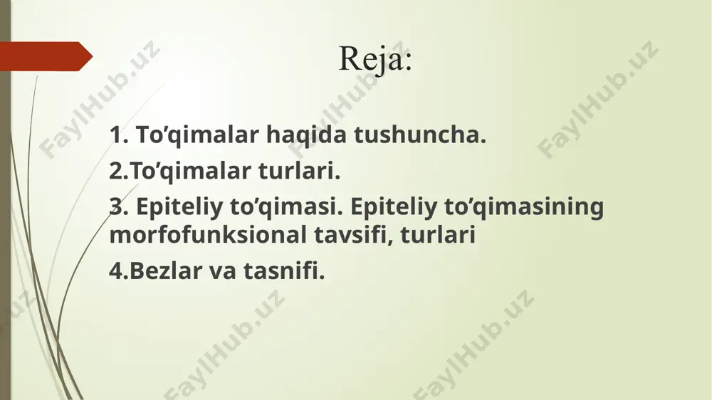 r to`plamidan iborat hujayralararo modda deyarli bo`lmaydi. doimiy bazal membranada yotadi. bazal membranada joylashganligi uchun qutubli diferensiyalashadi va ikkiga bo`linadi apikal va bazal. qon tomirlari bo`lmaydi oziqlanishi bazal mebrana orqali biriktiruvchi to`qimadan diffuz yo`l bilan kichadi. yuqori darajada qayta tiklanish xususiyatiga ega. bazal membrana qalinligi 1 mkm boʻlib, quyidagi vazifalarni bajaradi: - mexanik, trofik, chegara, moddalarni tanlab oʻtkazish, epiteliositlarning regenerasiyasi * bazal membrana elektron och (l.lucida) va elektron toʻq (l.densa) plastinkalardan iborat l.lucida kalsiy ionlariga boy amorf moddadan iborat, l.densa amorf moddasi glikoprotein, proteoglikan, gliozaminoglikanlarga boy va bazal membranaga mexanik pishiqlik beruvchi fibrillyar tuzilmalar (iv tip kollagen) tutadi. bazal membrana oqsillari: - glikoproteinlar (fibronektin, laminin) - kalsiy ionlari bilan birgalikda epiteliy xujayralarini bazal membranaga yopishishini, shuningdek, regenerasiyada epiteliy xujayralarining proliferasiyasi va differensiallashuvini ta'minlaydi; - proteoglikan va glikozaminoglikanlar membrananing tarangligini va uning manfiy zaryadlanishini ta'minlaydi bazal membrana epiteliy to’qimasi epiteliy to’qimasining qutbliligi bazal membrana hujayraning apikal qismi hujayraning bazal qismi hujayra …