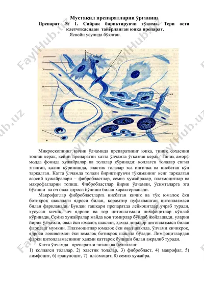 мустақил препаратларни ўрганиш — DOCX