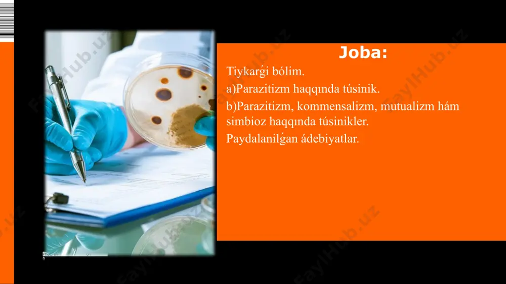 ı. tiykarında bul eki forma óz ara jasaw ornı hám awqatlanıw usılı menen parıq qıladı. cista ádette domalaq formada bolıp, tıǵız perde - cista qabıǵı menen oralǵan. jetilgen cistada 4 yadro, jetilmegeninde 1-2 yadro boladı. mayda vegetativ forması kishkene (15-20 mkm) bolip, hárekecheń. onıń citoplazması keskin túrde ekige - tiniq ayna tárizli. ektoplazmaga hám dánesheli endoplazmaǵa bólinedi. endoplazmada shar tárizli yadro jaylasadı. 1 2 mayda vegetativ forması adamnıń juwan ishek qabatında jasap, bakteriyalar menen azıqlanadi hám adamǵa zıyan keltirmeydi. qolaysız sharayatta cistalarga aylanıwı múmkin.toqima forması basqalarına qaraganda en ziyanlı esaplanadı. jaralar isip, irińleydi hám qan tamırlarınıń jaraqatlanıwı nátiyjesinde jaralardan qan aǵadı.gematofag yamasa eritrofag formaları ádette jaralarǵa jaqın jerlerde tabılıp, eritrocitler menen fagocitoz halında azıqlanadı.dizenteriya amyobasinıń mayda vegetativ forması tiykarǵı forması yesaplanadi. sebebi ol kóbeyip toqima formasına - eritrofagqa hám cistaǵa aylanadi. cistalar xojeyin dáreti menen birge sırtqa shıǵıp turadı. cistalar sirtqi ortalıqqa shidamlı bolip, hátte, xlorlangan suwda da. nabıt bolmaydı. …