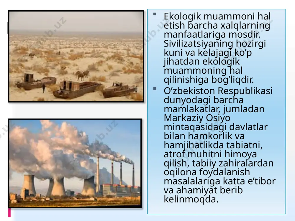 mintaqaviy va mahalliy ekologik muammolar - Page 5