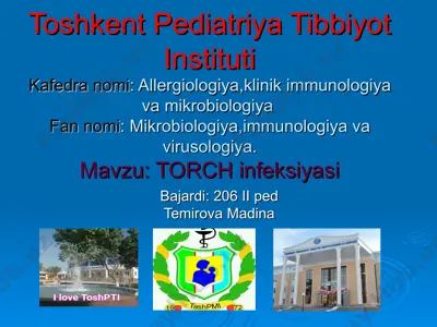 torch infeksiyasi — PPT