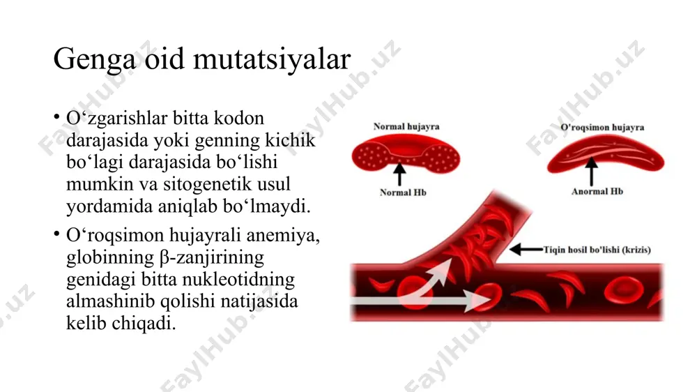 aylanadi. natijada hosil bo'lgan kanserogenlar nuklein kislotalari va oqsillarning molekulalari bilan ta'sirlashib, hujayralarning regulyator mexanizmlari ishini buzadi va o'smalar rivojlanishiga olib keladi. kanserogen moddalar ta'siri ostida hujayralarning transformatsiyasi kimyoviy kanserogenez deb ataladi. bo'linmayotgan hujayralarda dnk ikki zanjirli spiral ko'rinishida bo'lib, azot asoslari shikastlovchi moddalar ta'siridan himoyalangan bo'ladi. biroq, replikatsiya paytida ular kanserogenlarga sezgir bo'lib qoladi va zararlanadi. organizmda turli xil himoya mexanizmlari mavjud. masalan, atrof- muhit omillari ta'sirida sodir bo'lgan dnk shikastlanishi reparatsiya tizimi tomonidan tiklanadi. agar dnk molekulasidagi shikastlanish tiklanmay saqlanib qolsa, u holda mutant hujayra paydo bo'ladi va u, odatda, apoptozga uchraydi. ushbu mexanizmlarning ishdan chiqishi hujayralar transformatsiyasi va neoplaziyaga olib keladi. eng xavfli kimyoviy kanserogenlar benzantratsen, benzpiren, 7,12-dimetilbenzantratsen va kondensirlangan aromatik halqalar tutuvchi kimyoviy birikmalar kabi politsiklik aromatik uglevodorodlardir. monooksigenazalar tomonidan fermentativ faollashgandan so'ng, hosil boʻlgan birlamchi va ikkilamchi epoksidlar dnk molekulasidagi purin asoslariga bog'lanishi mumkin. aromatik aminlarga (2-naftilamin) anilin boʻyoqlari va rezina buyumlar ishlab chiqarishda ishlatiladigan …
