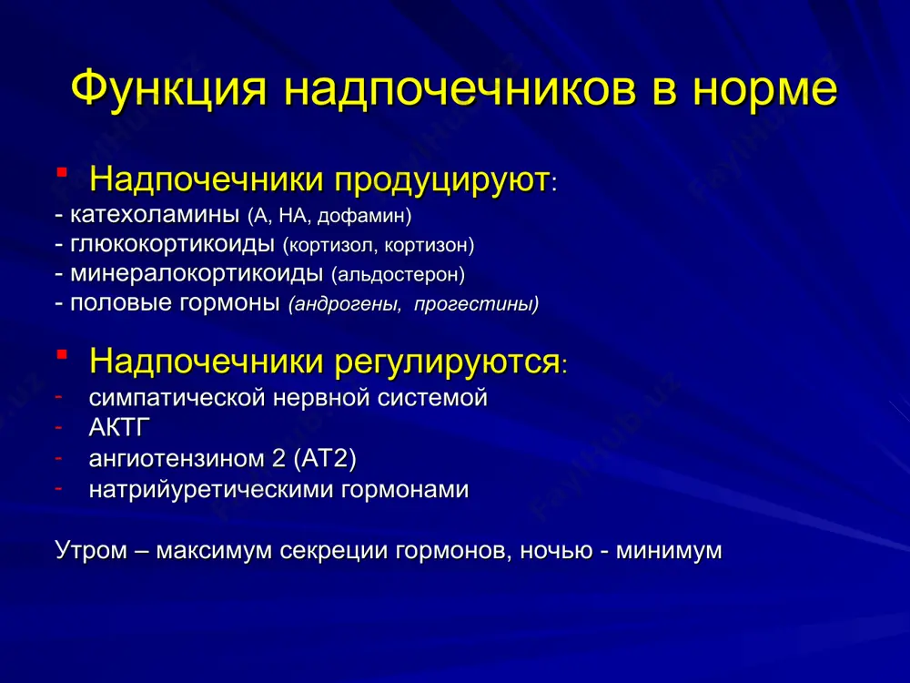 onicheskoy nedostatochnosti np 60% - autoimmunniy adrenalit razrushaetsya korkoviy sloy, a mozgovoy ostaetsya soxrannim. gkk i mkk , a ka v norme 30% - infektsiya: tbc, mikozi, tsmv, vich 10% - mts kartsinom legkogo, kishechnika, mol. jelez redko – gipotireoz (nb!),priem ketokonazola, rifampitsina, amiloidoz, gemoxromatoz autoimmunniy poliglandulyarniy sindrom nasleduemiy defekt apgs tipa 2 (sindrom shmidta).zabolevayut v 20-40 l - pervichnaya nedostatochnostyu np s gipogonadizmom - sd tipa 1 - ait s gipotireozom - miasteniya, vitiligo apgs tipa 1 - kandidoz koji i slizistix (s mladenchestva) - pervichnaya nedostatochnost np (pozdno) - gipopatatireoz patogenez xronicheskoy nedostatochnosti np defitsit mineralokortikoidov giponatriemiya obezvojivanie arterialnaya gipotenziya patogenez xronicheskoy nedostatochnosti np defitsit glyukokortikoidov: - immunodefitsit - zatyajnie vospalitelnie protsessi - allergicheskie reaktsii - nedostatochnost glyukoneogeneza gipoglikemiya slabost poxudanie patogenez xronicheskoy nedostatochnosti np defitsit katexolaminov preobladanie parasimpatiki bradikardiya gipotenziya klinika pervichnoy xronicheskoy nedostatochnosti np rezkaya slabost, usilivayushayasya k kontsu dnya pristupi slabosti, ostrogo goloda, potlivosti pri …