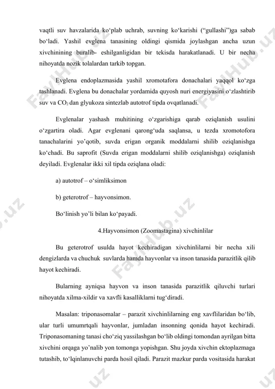 plazmaga о‘tgan oziq tomchi bilan о‘ralgan holda oziq vakuoli hosil qiladi. tufelkada ikkita qisqaruvchi vakuolalar hosil bо‘ladi, biri oldida – biri orqa tomonidan joylashgan, mikroskop ostida yulduzchaga о‘xshaydi. bular ayirish vazifasini navbatma-navbat bajaradi. har 45 minutda о‘z hajmi barobar suyuqlik ajratadi. tufelka katta yadrosi makronukleus va kichik yadro mikronukleus. tufelka kо‘ndalangiga bо‘linib kо‘payadi. bundan tashqari infuzariyalar sinfini bir necha turkumlari bor. 1.har xil kipriklilar 2. doira kipriklilar 3. parazit infuzariyalar masalan: odamda parazitlik qiluvchi balantidiy yo’g‘on va ingichka ichakda parazitlik qiladi. parazit infuzariyalar. bir qancha xil umurtqali va umurtqasiz hayvonlarda hamda insonda parazitlik bilan hayot kechiruvchi infuzariyalarning turlari nihoyatda kо‘p bо‘lib, bular har xil turkum va guruhlarga bо‘linadi. balantidiy (balantidiuru coli) odamning yo’g‘on va ingichka ichagida parazitlik qiladi. kattaligi 30-150 mk keladi. tanasi loviyasimon. odamning ingichka ichagi devorlarini yallig‘lab, qonli ichburug‘ kasalini keltirib chiqaradi va qizil qon tanachalarini yutib ovqatlanadi. lekin yo’g‘on ichakda zarar keltirmasligi mumkin, biroq bunday odam “sista” …