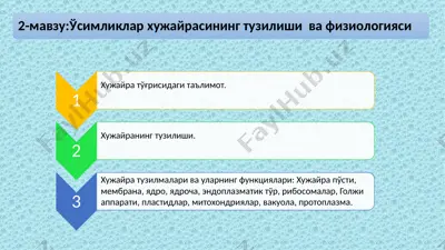 ҳужайранинг тузилиши — PPTX