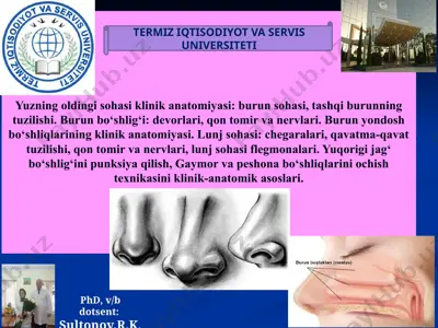 burun sohasi topografiyasi — PPTX