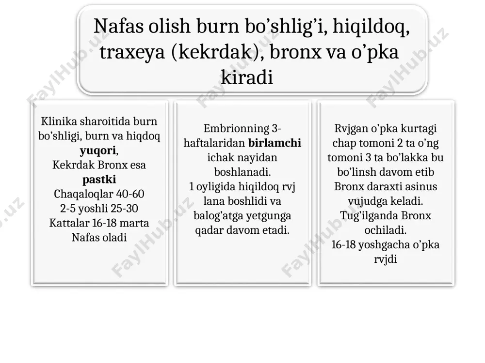 ichida 12-16 bronxlar tarqaladi. nafas yo’li vujudga keladi chegara bronxlar nafas bronxlariga ular torayib nafas naychasiga, bular kengayib nafas naychasi va alveolalarga aylanadi. -nafas bronxiolasi -nafas naychasi -alveolalar bular op’ka birligi asinus yoki alveola daraxtini -12-18 asinus o’pka bo’lakchasini -1 nechtasi segmentni x.l q.di 800 ming asinus 300-350 mln alveola ular sathi 30-100 mkv o’pka 1 juft bo’lib, asosi diafragmaga tegib turadi va diafragma yuzasi deyiladi. uchi 1-qovurg’adan yuqoriroqda turadi, o’pkalarning qovurg’alarga qaragan yuzasi, ikkala o’pka oralig’i tafavut qilinadi. chap o’pkaning pastrog’ida yurak joylashgan. o’ng o’pka osti diafragmaning ostida jigar joylashgan plevra parda seroz parda. 2 qavat o’pkani ustidan o’rab turgan (visseral), ko’krak bo’shlig’i devoriga yopishgan qismi pariyetal varaq deyiladi visseral varaq o’pka bo’laklarigacha kirb boradi. o’pka darvozasiga kelganda qo’sh qavatli boylam hosil qilib pareyitalga a.di. o’pkalar uchini plevra gumbazi 1-qovurg’adan 3-4 sm j.gan. koks oralig’i oldingi orqaga bo’linadi kekrdak va bronxlar oldinda yurak va uning xaltasi, ayrisimon bez, aorta …