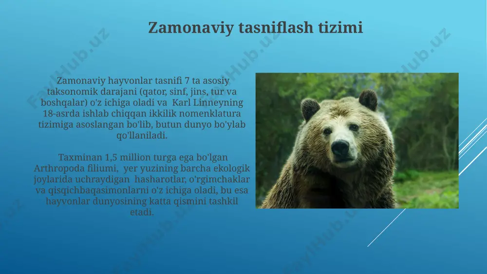 hayvonot dunyosining hukmronliklarga ajratilishi - Page 4