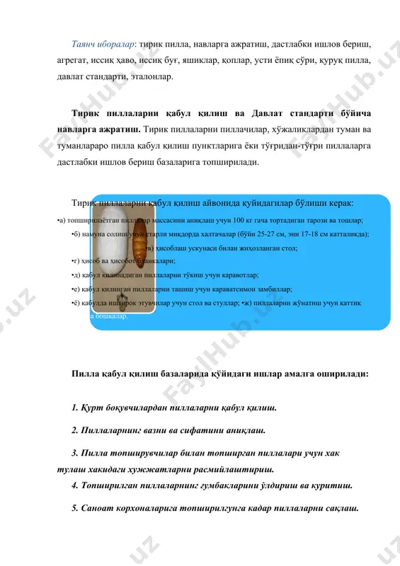 и зарур бўлиши ҳисобланади. 23-расм. пилла териш; 1-махсус дастгоҳда пилла териш; 2- оддий усулда пилла териш.12 қабул қилинаётган пилланинг нави лабораторияда аниқланади. пиллага дастлабки ишлов бериш базаларида ёки уларни қабул қилиш пунктларида тайёрланадиган тут ипак қуртининг оқ пиллали зот ва дурагайлардан иборат тирик пиллаларига қўйидаги стандарт жорий этилган ушбу стандартга мувофиқ тут ипак қуртининг тирик пиллалари қобиғининг сифатига қараб i, ii навга, ностандарт, навсиз ва қора пачоқ пиллаларга ажратилади. навли пилла аралашмаси қуртнинг зоти ёки дурагайлари бўйича алоҳида-алоҳида сакланиши керак. тирик пиллани сақлаш муддати хўжаликдан ёки пилла топширувчидан қабул қилинган вақтдан бошлаб то ғумбаги ўлдирилгунгача икки суткадан ошмаслиги керак. ипак қуртлари пилла ўраб бўлгандан кейин 2 - 3 кунда ғумбакка, ғумбаклар эса 12 - 14 кундан кейин капалакка айланиб, пиллани тешиб чиқади. пиллаларнинг ғумбагини ўлдириш ва қуритиш тартиби. пилла йигириш фабрикаларини йил давомида хом-ашё билан таъминлаш мақсадида пиллаларнинг ичидаги ғумбаги ўлдирилади, кейин қўритилади. пилла ичидаги тирик ғумбакни турли йўллар билан …