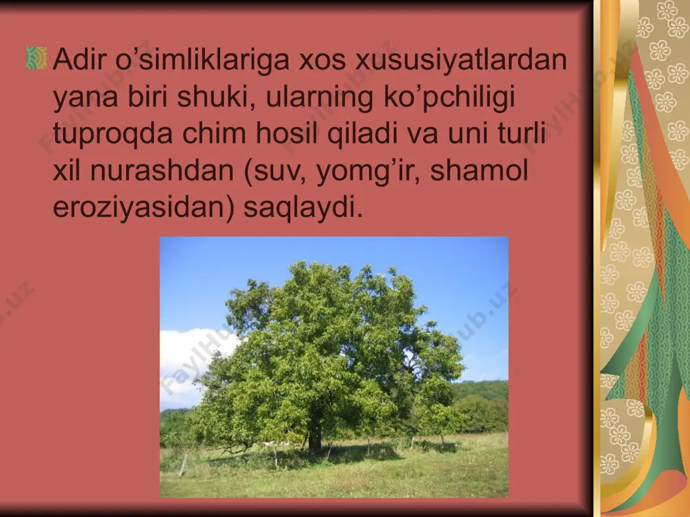 o`zbekistonning adir mintaqasida tarqalgan o`simliklar oilalari - Page 3