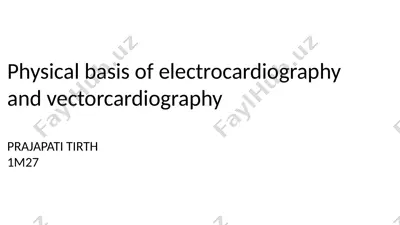 physical basis of electrocardiography and vectorcardiography — PPTX