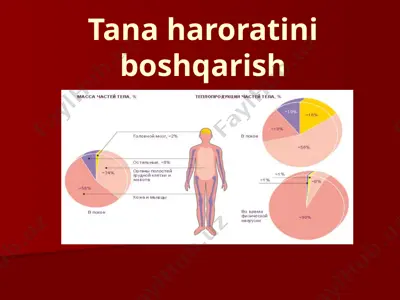 tana haroratini boshqarish — PPTX