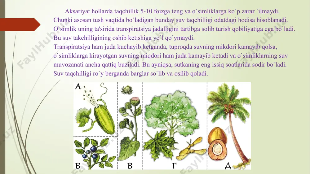o’simliklarda suv almashinuv fiziologiyasi - Page 3