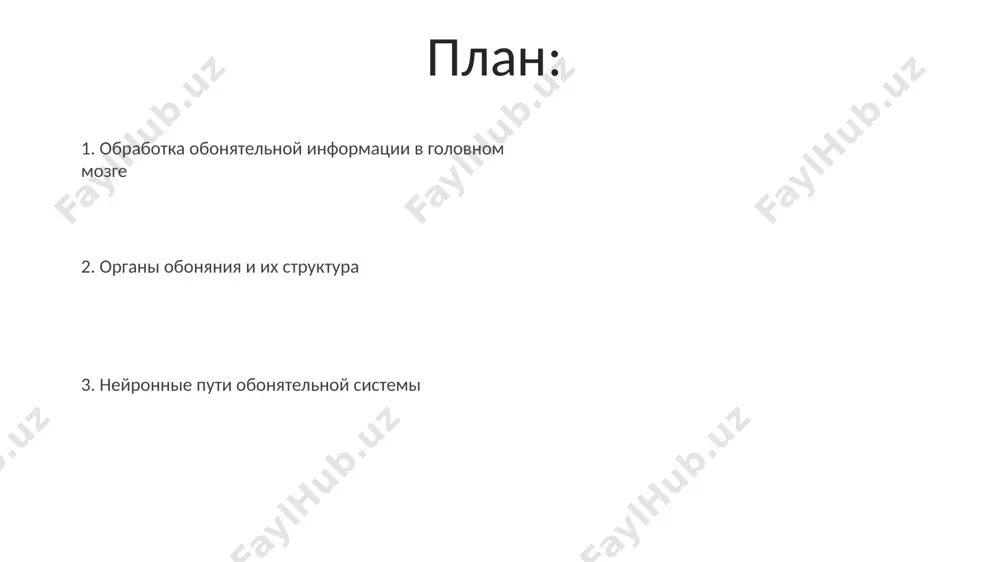 белка, сходятся на определённых гломерулах обонятельной луковицы, образуя примерно 2000 гломерулярных структур в каждой луковице, обеспечивающих пространственную организацию обонятельной информации. обонятельные рецепторы, расположенные в обонятельном эпителии носовой полости, содержат приблизительно 400 типов рецепторных белков, каждый из которых реагирует на специфические молекулы пахучих веществ, обеспечивая распознавание тысяч различных запахов. обонятельные луковицы в отличие от других сенсорных систем, обонятельные луковицы обладают двусторонней связью с мозгом, обеспечивая более сложную обработку запахов в областях, таких как миндалевидное тело, влияющее на эмоциональную реакцию на запахи в амстердаме, например. расположенные в передней части мозга, непосредственно над решетчатой костью, обонятельные луковицы являются первичными центрами обработки запахов, получая сигналы от приблизительно 10 миллионов рецепторных нейронов в носу. обонятельные нейроны аксины обонятельных нейронов, проходящие через решетчатую пластинку, формируют более 40 пучков, которые проецируются в обонятельные луковицы, расположенные в переднем мозге. обонятельные нейроны, в отличие от большинства других нейронов, обладают способностью к нейрогенезу на протяжении всей жизни человека, с заменой …