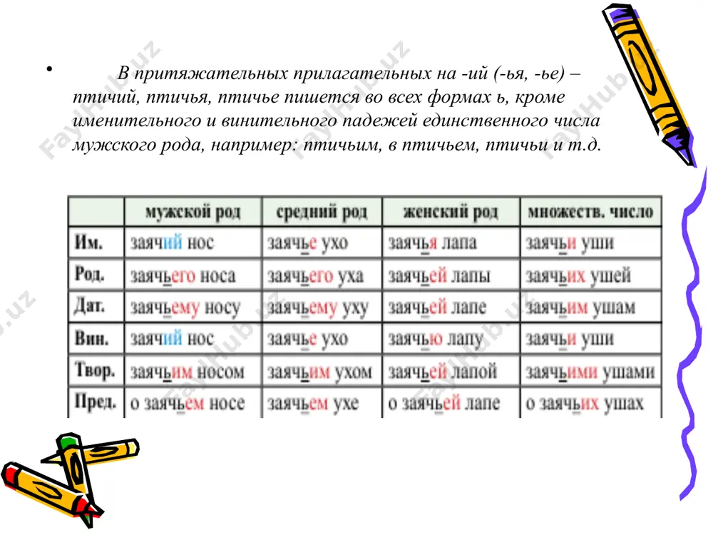 17. притяжательные прилагательные 10 - sinf - Page 4