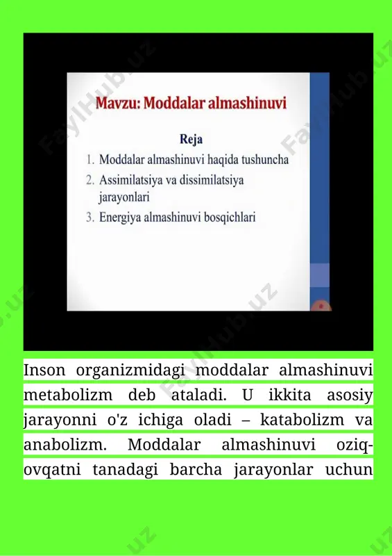 ir kecha kunduzda asosiy moddalar almashinuvi uchun qancha energiya sarflanadi ? image4.jpeg image5.jpeg image6.png image7.png image8.png image9.png image10.png image11.png image12.png image13.png image14.png image15.png image16.png image17.png image18.png image19.png image20.png image1.jpeg image2.jpeg image3.jpeg