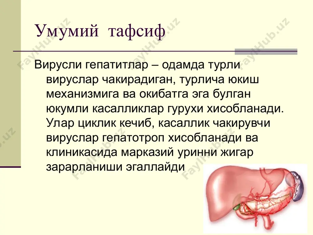аклда умумий структурада вг 10-30% ни эгаллайди хозирги вактда вгв – ер шарида энг куп таркалган инфекция хисобланади. жахонда 2 млрд.дан ортик одамларда hbv-инфекция утказилган маркерлари аникланган. 400 млн.га якин одам hbv ни сурункали ташувчиси хисобланади. улим сабаблари буйича вг еттинчи уринда туради, «хаётни потенциал йукотиш йиллари» критерийси буйича стабил учинчи урини эгаллайди, факат пневмония ва уткир диареялардан кейин туради. жахонда hbv-инфекция билан йилига1 млн.дан ортик улим боглик, бунга жигар циррози (700 минг атрофида) ва бирламчи жигар раки (300 минг) хам киради. эпидемиологияси асосий касаллик манбаи ва резервуар – hbv вирус ташувчилар, сурункали гепатит билан огриган беморлар, камрок даражада касалликнинг уткир шакли билан огриган беморлар жинсий йул билан юкади вертикал юкиш эхтимоли юкори (hbeag+ холларда 80% гача) шахсий гигиена буюмларини куллаганда зарарланган кон ва кон препаратлари куйилганда турли парентерал муолажаларда сурункали соматик касалликлари булган беморлар мойиллик гурухи (группа риска) : гемофилияли беморлар кон реципиентлари жинсий йулдошларини тез-тез алмаштирувчи шахсларда наркоманлар …
