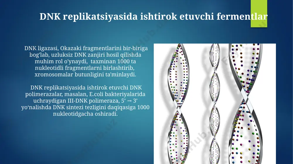 rnk va dnk xususiyatlari - Page 5