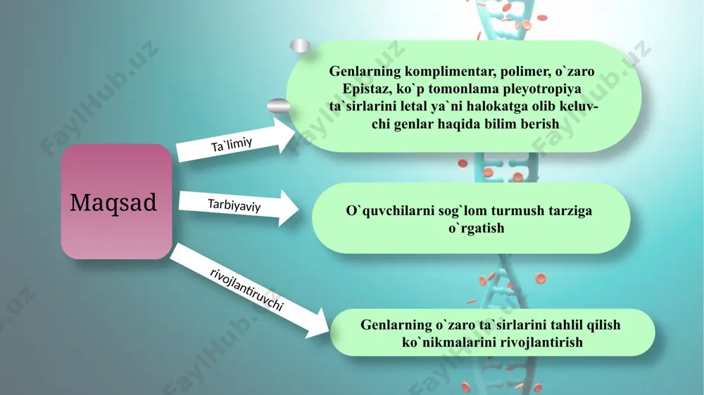 avlodlarning genotipini toping. fen: oq oq p gen: ♀ iicc x ♂ iicc gameta: ic ic f 1 fen: oq gen: iicc p fen: oq oq gen: ♀ iicc x ♂ iicc f 2 shunday qilib, allel bo'lmagan genlarning o'zaro epistaz ta’siridagi irsiylanish jarayonida ham duragay avlodlarda, ota-ona organizmida bo'lmagan yangi belgilar paydo bo'ladi. genlarning dominant epistaz ta’sirida f 2 avlodida 13:3, 12:3:1; retsessiv epistazda esa 9:3:4 nisbatda ajralish ro'y beradi. 1. darslikda berilgan mavzuni o`qib o`rganib, unda uchragan tayanch so`zlarni tahlil qiling. 2. mavzu so`ngida berilgan savollarga javob yozing. uyga vazifa image2.jpeg image3.jpeg image4.jpeg image5.png image6.png image7.png image8.png image9.png image10.png image11.png image12.png image13.png image14.png image15.png image16.png image17.png image18.png image19.png image20.png image21.png image22.png image23.png image1.jpeg /docprops/thumbnail.jpeg