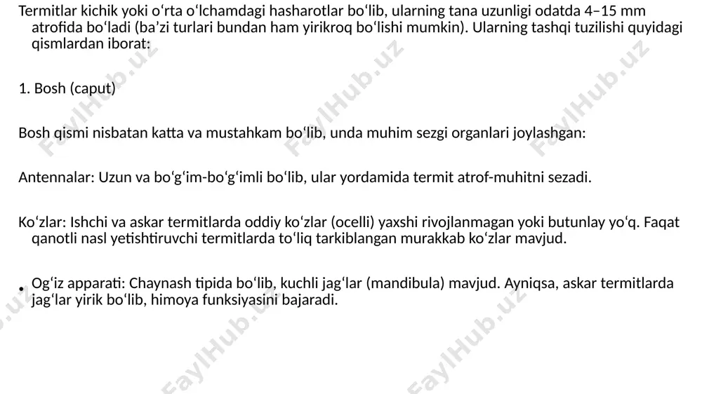 termitlar - Page 5