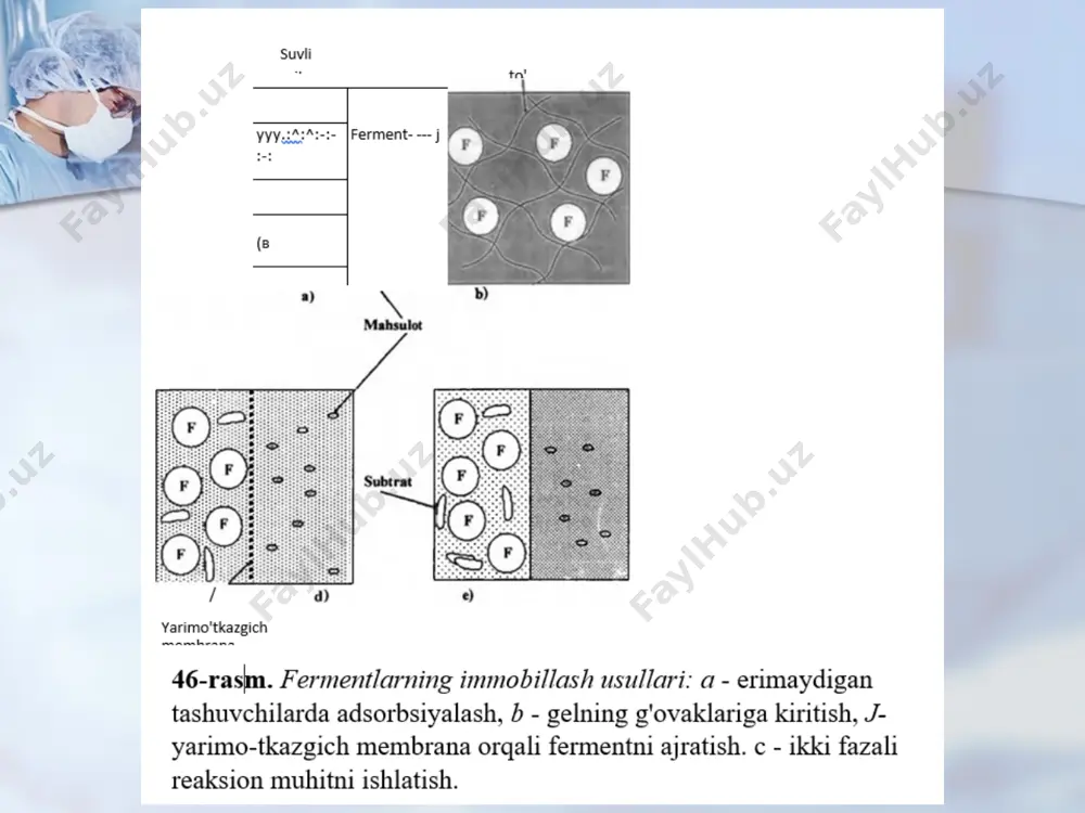 ada ishlaydigan fermentlar deyiladi? endofermentlar; izofermentlar; oksidoreduktazalar; ekzofermentlar; 2, dnk molekulasini mayda bo‘laklarga bo‘luvchi fermentlar? kesuvchi endonukleazalar yoki restriktazalar ligazalar dnk azalar revertazalar 3, fag dnk lari, plazmidalar va o‘simliklarni xloroplast hamda mitoxondrial dnk qanday vazifada ishlatilishi mumkun? vector transpazon kesuvchi endonukleazalar yoki restriktazalar retropazon 4,fermentlar qanday biologik manbalardan ajratib olish mumkin? hayvon organlari (bezlar, jigar, ichak.) o‘simlik organlari ( urug‘i, maysasi ) barcha javob togri mikroorganizmlardan. 5, mutatsiyaga uchragan dnk molekulasini asl holatiga qaytish jarayoni nima deyiladi? dnk replikatsiyasi dnk reparatsiyasi dnk rekombinatsiya transfarmatsiya 6, dnk reparatsiyasi nima? mutatsiyaga uchragan dnk ning asl holiga qaytishi mutatsiyaga uchragan rnk dan revertaza yordamida dnk sintez bo‘lishi; dnkning ma‘lum vaqtdan so‘ng mutatsiyaga uchrashi; mutatsiyaga uchragan dnkdan rnk sintezlanishi; 7, plazmidli bakteriani plazmidsiz bakteriyalardan qanday farqi bor? antibiotiklarga chidamsiz bo‘ladi. xususiyatlarida farq mavjud emas bakteriofagga chidamsiz bo‘ladi antibiotiklar ta’sirida nobud bo‘lmaydi. 8, immobillash deganda nima tushuniladi? oʻldirish bloklash harakatsizlantirish faollashtirish 9, dnk doiralarini …