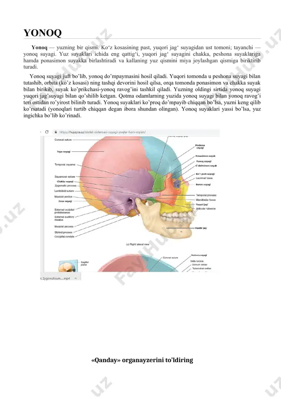 kasb xunar kollejlari uchun o`quv qo`llanma. toshkent, 2005. 2.boymetov b.b., tolipov m.s. s.s azimov plastik anatomiya kasb xunar kollejlari uchun o`quv qo`llanma. toshkent, ilm ziyo 2016. 3 nashri 3.boymetov b.b. plastik anatomiya ( amaliy mashg`ulot ) oliy o`quv yurtlari uchun qo`llanma toshkent, 2013. axborot manbaalari https://www.google.com/search?q=kalla+suyagi+rasmi&rlz= https://www.google.com/search?q=pastki+jag%27+suyagi&tbm=i vedeo silkasi : https://www.youtube.com/watch?v=xaqneyzwvtg kalla suyak uchun video https://www.youtube.com/watch?v=srviomfdyeo pastki jag` suyak uchun muhim muammoning echimini topishga yordam beradi va “qanday” savoli orqali muammo hal qilinadi. qanday? qanday? qanday? qanday? qanday?