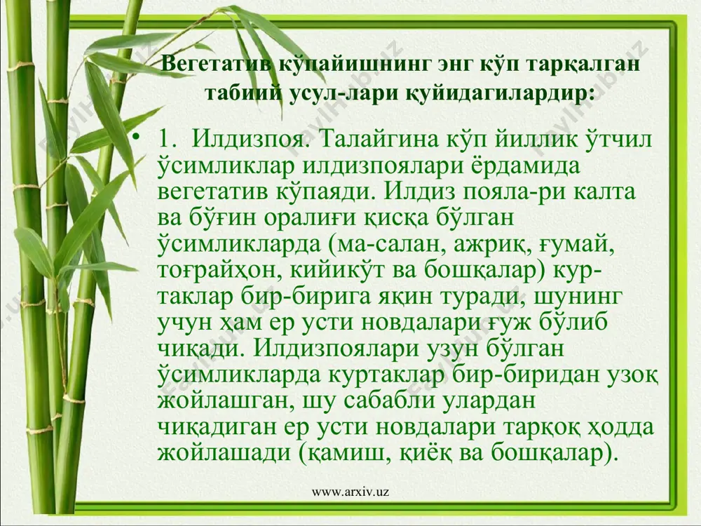 тган куртакдаги барг банди сал тегилса, тушиб кетади. пайванд тутмаган вақтда қайта пайвандланади. пай-ванд тутиб кетгач, куртак уланган жойдан юқориси кесиб ташланади. бу усул-да асосан, тут, олхўри, атиргул пайвандланади. www.arxiv.uz www.arxiv.uz 3-расм. куртак пайванд: 1 — пай-вандлаш учун куртаги олинадиган тайёр қаламча; 2—3 — куртакни бир оз ёғочлик қисми билан кесиб олиш; 4 — пайвандтагнинг пўстло-ғини кесиш; 5— 6— куртакни ўр-натиш; 7— боғлаш. 4-расм. пайванднинг ҳар хил турлари: 1 — одций қаламча пай- ванд; 2 — ён қўндирма пайванд; 3 — ёрма пайванд. www.arxiv.uz www.arxiv.uz мевачиликда куртак пайванд усулидан ташқари найча пайванд ҳам қўлла-нилади. қаламча пайванд ёки копулировка (лот. копуляре — қўшиш, бириктириш), асосан баҳорда қўл-ланилади. бу усулнинг бир қанча хиллари маълум. масалан, оддий ва тилча-ли қаламча пайванд, қўн-дирма пайванд, искана пайванд ва ҳ.к. оддий қаламча пайванд-да пайвандтаг ва пайван-дуст бир хил йўғонликда бўлиши керак. пайвандтаг ҳам, пайвандуст ҳам бир-бирига мос келиб, зич қилиб пайвандланади, кейин боғланиб боғ малҳами суртилади. …