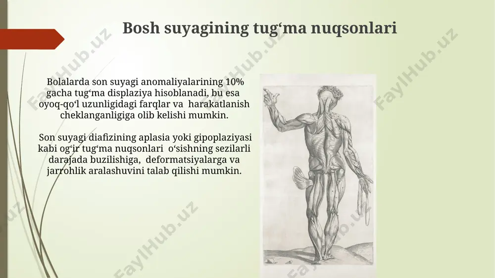 xminan 2-3 tasida uchraydigan amelia (oyoq-qo'lning yo'qligi) eng og'ir hisoblanadi. oyoq-qo‘lning deformatsiyalari qo'l va oyoqlarning tug'ma nuqsonlari orasida, taxminan 1 dan 1000 gacha tug'ilgan chaqaloqda uchraydigan radial ageneziya (radial suyakning rivojlanmaganligi) keng tarqalgan. talipes equinovarus (klubfoot) kabi oyoq deformatsiyalari yangi tug'ilgan chaqaloqlarning taxminan 1 dan 1000 gacha bo'lgan qismida uchraydi va erkaklarda ikki baravar ko'proq uchraydi. tug‘ma dislokatsiyalar va subluksatsiyalar tugʻma dislokatsiya va subluksatsiyalar diagnostikasi prenatal ultratovush tekshiruvi, tugʻruqdan keyingi klinik tekshiruv va rentgenografiya yordamida amalga oshiriladi; davolash usullari yoshga bogʻliq boʻlib, gipslashdan jarrohlik amaliyotigacha oʻzgaradi. tugʻma yelka subluksatsiyasi kamroq uchraydi va koʻpincha boshqa tugʻma nuqsonlar bilan birga keladi, masalan, 20% hollarda klippel-feil sindromi kuzatiladi. ko‘krak qafasi va qovurg‘alarning tug‘ma nuqsonlari qovurg'alarning qo'shimcha yoki yo'qligi, shu jumladan, 13 dan ortiq yoki 11 dan kam qovurg'a soni kabi anomaliyalar, skeletning rivojlanishidagi buzilishlarni ko'rsatadi. ko'krak qafasi deformasiyalarining 25% dan ortig'i pectus excavatum yoki pectus carinatum kabi tugli nuqsonlar hisoblanadi, ular nafas olish …