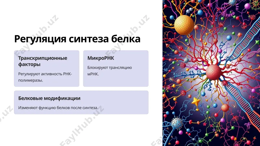 биосинтез белка: от гена к функции - Page 5