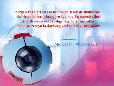 analizatorlar. ko'rish analizatori. — PPTX