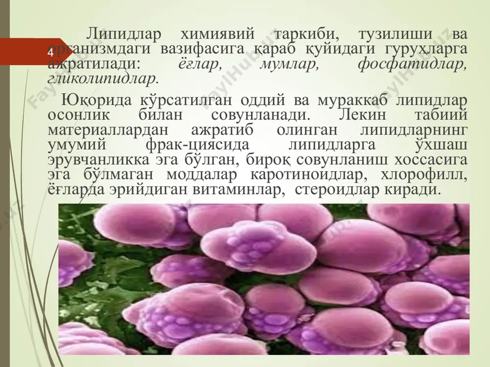 ҳам катта бўлади. * 100 г ёғни бириктириб олган йоднинг грамм миқдори билан ифодаланадиган сон ёғларнинг йод сони дейилади. бу сон мойлар таркибига кирадиган ёғ кислоталарнинг тўйинмаслик даража-сини ифодалайди. йод сони қанча катта бўлса, ёғ шунча суюқ бўлади. одатда, суюқ ёғларни озиқ сифатида истеъмол қилиб бўлмайди. лекин улардан турли бўёқлар, лок, олиф ва бошқалар тайёрлашда кенг фойдаланилади. * йод сони 85 дан кичик бўлган мойлар қуримайдиган, 130 дан катта бўлган мойлар яхши қурийдиган мой ҳисобланади. йод сони турли ўсимликлар мойи таркибида ҳар хил бўлади. масалан, арпа мойида йод сони 63 ни, пахта мойида 110 ни, соя мойида 130 ни, каноп мойида 150 ни, зиғир мойида эса 174 ни ташкил этади. * тропик мамлакатларда ўсадиган ўсимликлар мойининг йод сони кичик бўлиб, улар одатда қаттиқ, шимолий минтақаларда ўсадиган ўсимликлар мойи, аксинча, суюқ бўлиб, йод сони анча катта бўлади. ўсимликлар ўсиш жойининг жанубдан шимолга қараб ўзгариб боришига қараб, улар мойининг йод сони ҳам …