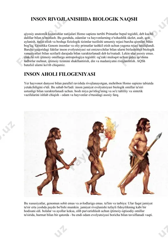 , qon aylanish, nafas olish va boshqa fiziologik tizimlar tuzilishi umumiy rejasi barcha qismlari bilan bog'liq. genetika genom insonlar va oliy primatlar tashkil etish uchun yagona rejasi tasdiqlandi. barcha yuqoridagi faktlar inson evolyutsiyasi sut emizuvchilar bilan ularni birlashtirish biologik xususiyatlari bilan sezilarli darajada bilan xarakterlanadi deb ko'rsatadi. lekin ular asosiy emas. etakchi roli ijtimoiy omillarga antropologiya tegishli: og'zaki muloqot uchun qulay qo'shma tadbirlar mehnat, ijtimoiy tizimini shakllantirish, din va madaniyatni rivojlantirish. aqsh batafsil ularni ko'rib chiqamiz. inson aholi filogeniyasi yer hayvonot dunyosi bilan parallel ravishda rivojlanayotgan, mehribon homo sapiens tabiatda yetakchiligini o'tdi. bu sabab bo'ladi: inson jamiyat evolyutsiyasi biologik omillar ta'siri ustunligi bilan xarakterlanadi uchun. bosh miya po'stlog'ining va so'z tahliliy va sintetik vazifalarini ishlab chiqish - odam va hayvonlar o'rtasidagi asosiy farq. bu xususiyatlar, genomun sobit emas va avlodlariga emas. ta'lim va tarbiya: ular faqat jamiyat ta'sir erta yoshda paydo bo'lishi mumkin. jamiyat rivojlanishi tufayli fidoyilikning kabi bir hodisani …