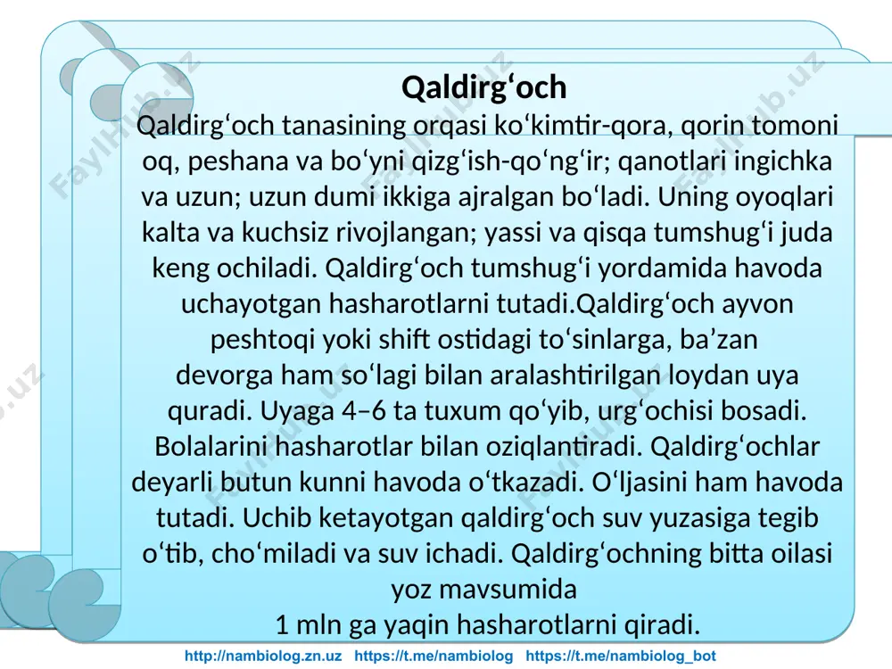 a keltiradi? 4. cho‘l va dasht qushlari yashash muhitiga qanday moslashgan? http://nambiolog.zn.uz https://t.me/nambiolog https://t.me/nambiolog_bot uyga vazifa lug‘at daftaringizga yozib oling. chumchuqsimonlar, qaldirg‘och, zog‘cha, olaqarg‘a, go‘ngqarg‘a, chug‘urchuqlar, kaptarlar, tuvaloqlar, afrika tuyaqushi, emu, nandu. jumboqni yeching. 1. nima sababdan to‘rg‘ay, qirg‘ovul, tuvaloq va tuyaqush yerga, chumchuq, mayna va qarg‘alar esa daraxt shoxlariga uya quradi? 2. nima sababdan so‘ngi yillarda qaldirg‘ochlar shaharlarimizda kam uya quradigan bo‘lib qoldi? http://nambiolog.zn.uz https://t.me/nambiolog https://t.me/nambiolog_bot qushlar nomi bilan ular uchun xos bo‘lgan xususiyatlarni juftlab yo zing. a) qaldirg‘och; 1) yil davomida 5 marta bola ochadi; b) musicha; 2) «qizil kitob»ga kiritilgan; d) go‘ngqarg‘a; 3) binolar peshtoqiga uya quradi; e) chug‘urchuqlar; 4) oyoqlari ikki barmoqli; f) ko‘k kaptar; 5) o‘ljasini havoda tutadi; g) tuvaloq; 6) mevalarga biroz zarar yetkazadi. h) afrika tuyaqushi. 7) zog‘chalar bilan gala hosil qiladi.. juftlab yozing http://nambiolog.zn.uz https://t.me/nambiolog https://t.me/nambiolog_bot e`tiboringiz uchun rahmat! http://nambiolog.zn.uz https://t.me/nambiolog https://t.me/nambiolog_bot