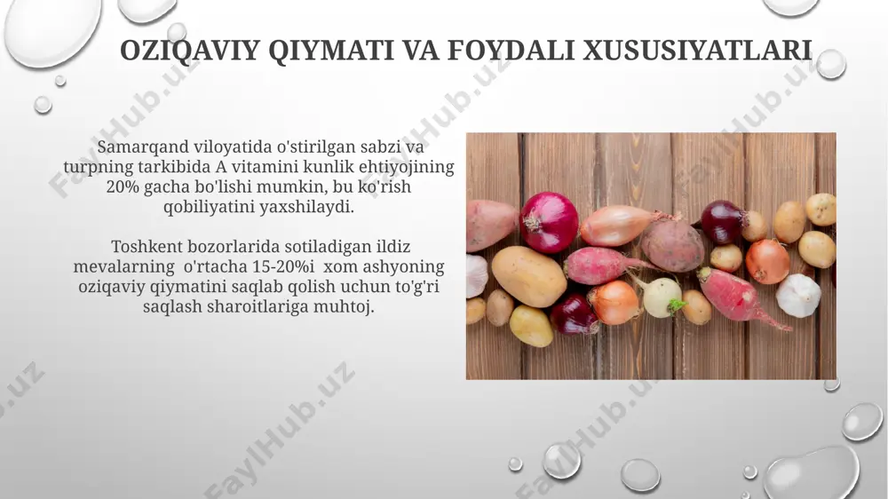 ildiz mevalar va lavlagi: yetishtirish, saqlash va oziqlanish qiymati - Page 4