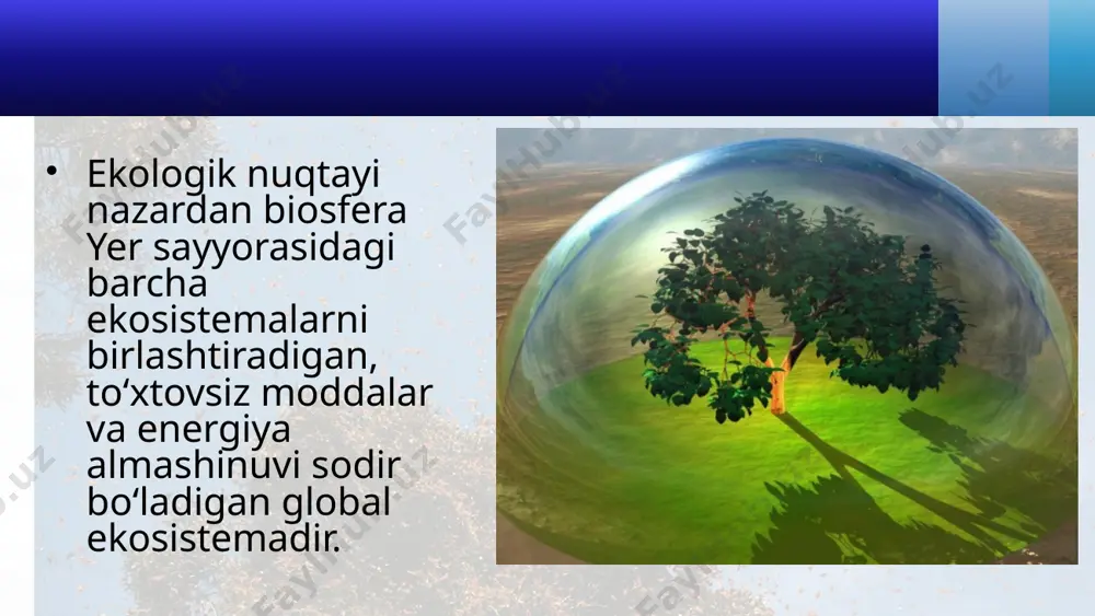 biosfera darajasining xususiyatlari. biosfera haqida ta’limot. 11 - sinf - Page 3