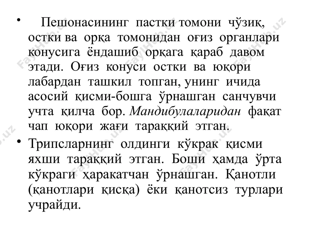 трипслар туркуми вакиллари - Page 4