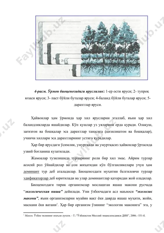 интез ёрдамида органик бирикмаларнинг кимёвий боғланишлари ҳосил бўлади. 6-расм. чўл экотизими озуқа занжири деганда биз нимани тушунамиз? жамоалардаги озуқа занжири бу энергиянинг бир организмдан иккинчисига берилиш кетма—кетлигидир. «ўсимлик-хашорат-бақа-илон-калхат» озуқа занжирида биринчи бўғиндан кейингиларига қараб биомасса камайиб боради. экотизимлар озиқ тўрлари орқали ўзаро боғлангандир(-расм). 7-расм. дашт экотизимида ҳайвонлар ўртасидаги озуқа алоқалари консументлар томонидан қабул қилинган озуқалар тўлиқ ўзлаштирилмайди ва унинг маълум бир қисми ташқи муҳитга қайтарилади. ҳайвонларда озуқа моддаларнинг ўзлаштирилиши 30% дан 70% гачани ташкил қилади. энергиянинг кўп қисми нафас олишда сарфланади. қабул қилинган овқатнинг оз қисми организмларнинг ўсишига кетади. экотизимнинг ҳаёти фақат энергия оқимига боғлиқ бўлиб, у қуёш нури ёки тайёр органик моддалар ҳисобига таъминланади. фотосинтез қилувчи организмлардан бошланувчи озуқа занжири ейилиш занжири дейилади. ўлик ҳайвонлар ва ўсимликларнинг қолдиқларидан бошланадиган занжир эса парчаланиш занжири дейилади. экотизимлардаги консументларга энергия оқими ўсимликларнинг тирик тўқималари ёки ўлик органик моддалар заҳираси орқали киради. ўлик органик моддалар асосини ҳам фотосинтез ташкил қилади. ўрмонларда ҳар йили …