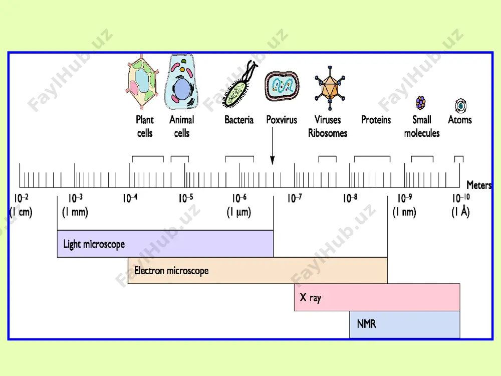 in laboratory animals;2 – virus isolation in chick embrio; 3 - virus isolation in cell culture v i r u s i s o l a t i o n infection of animals remove the mouse brain intracerebral administration intravenous types of cell culture cytopathic effect (cpe) of viruses morphological changes in the cultured cell in which they grow. primary monkey kidney cell culture, human amnion cell culture, chick embryo fibroblast cell culture continuous hela, hep 2, kb, dеtrоit-6 diploid imr-90, j enzyme time subculture primary cell time +enzyme classification by symptomatology a. generalized diseases: diseases in which virus is spread throughout the body via the blood­stream and in which multiple organs are affected. skin rashes may occur. these include smallpox, vaccinia, measles, rubella, chickenpox, yellow fever, dengue, enteroviruses, hiv. b. diseases primarily affecting specific organs: the virus may spread to the organ through the bloodstream, along the peripheral nerves, …