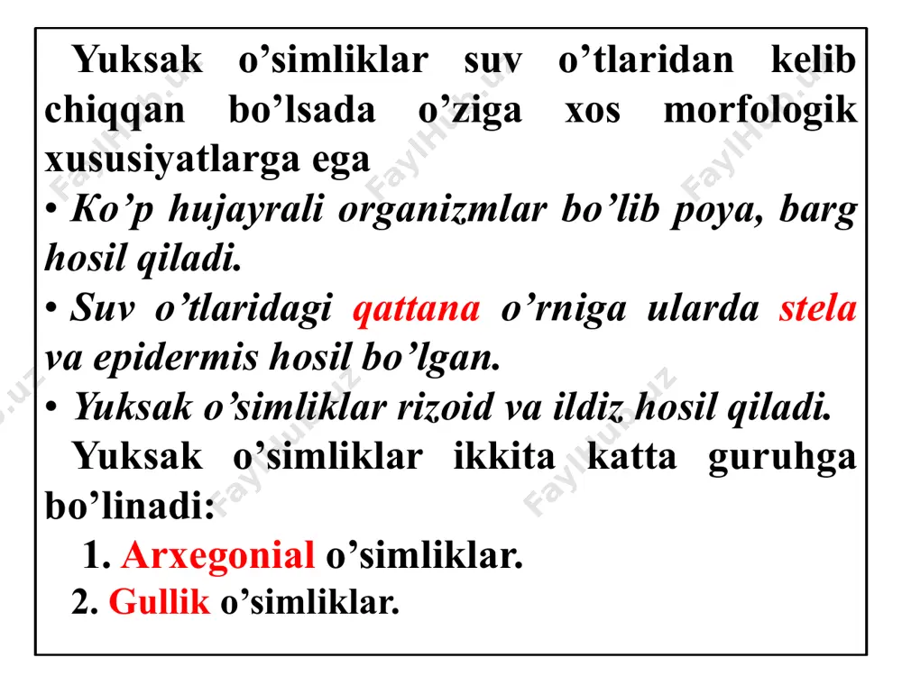 без повреждений. 3.urug’li o‘simliklar: ochiq urug’li va yopiq urug’li o’simliklar • quruqlik sharoitida yashaydigan va urug’ yetishtiradigan yuksak o‘simliklar urug‘li o’simliklar deb ataladi. bu o‘simliklarda urug’ bo’lishi bilan arxegonial yuksak o’simliklardan, ya’ni moxlar, riniofit, plaun, qiriqbo’g’im va paparotniklardan tubdan farq qiladi. urug’li o’simliklar ikki bo’limga: ochiq urug’lilar (gymnospermae)va yopiq urug’lilar (angiospermae) ga bo’linadi. 2. ochiq urug’lilar qadimiy o’simliklar bo’lib, ularning qadimiy avlodlari toshko’mir davrining oxirlarida yashaganlar. jumladan urug’li paporotniklar, bennettitlar, keytonlilar qazilma holda saqlanib qolgan. ginkoviylar, velvichiyalarni bittadan turi saqlanib qolgan. yer yuzida ochiq urug’lilarning 660 turi bo’lib, daraxt, qisman buta va liana turlari uchraydi. shoxlanishi monopodial, poyasi kambiy faoliyati natijasida ikkilamchi yug’onlashish xususiyati bilan yopiq urug’li o’simliklarga yaqin tursada, tarxeidlardan tuzilganligi va o’tkazuvchi bog’lamlar yo’qligi bilan ulardan farq qiladi. • ochiq urug’lilar doimiy yashil o’simliklar bo’lib, ildizi-asosiy va yon ildizlardan iborat. ochiq urug’li o’simliklarning harakterli xususiyatlaridan biri urug’ va urug’ kurtakni ochiq bo’lishidir. ularning urug’lari mevaning ichida emas, balki …