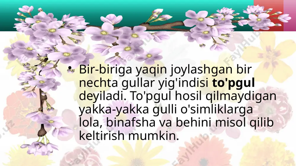 ushka, shashir va bodiyon kabi o'simliklarning gullari murakkab soyabon hosil qiladi. murakkab soyabon asosiy gulpoyaning uchki qismida joylashgan oddiy soyabonchalardan tashkil topadi. bug'doy, arpa, javdar va bug'doyiq kabi o'simliklar to'pguli murakkab boshoq bo'lib, u asosiy gulpoyada joy-lashgan oddiy boshoqchalardan tarkib topadi. murakkab shingil to'pguli asosiy gulpoyada joylashgan shingillar (nastarin, tok)dan yoki boshoqchalar (makkajo'xo-rining changchili gullari, sholi, suli)dan iborat image2.jpeg image3.png image4.jpeg image5.jpeg image6.jpeg image7.jpeg image8.jpeg image9.jpeg image10.jpeg image1.jpeg /docprops/thumbnail.jpeg