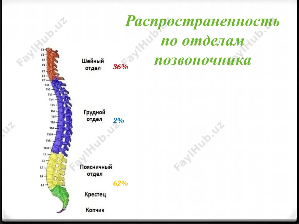 еохондроз дорсопатии- болевые синдромы в области туловища и конечностей невисцеральной этиологии и связанные с дегенеративными заболеваниями позвоночника причины дегенеративно-дистрофических изменений позвоночника: инволюция травматическая сосудистая наследственная(изменение структуры глюкозаминогликанов нарушается коллагеновый остов) аномальная гормональная, эндокринная инфекционная аутоиммунная под влиянием различных факторов происходит деполимеризация кислых мукополисахаридов, протеинов, гиалуроновой кислоты пульпозного ядра мпд, что приводит дегидратации диска и потере им амортизационных свойств. затем изменения возникают в фиброзном кольце, которые проявляются снижением эластичности. изменения в коллагеновых волокнах фиброзного кольца приводят к трещинам и разрывам. далее процесс захватывает тела позвонков, межпозвоночные суставы и весь связочный аппарат. грыжа мпд может развиваться и по вертикальному механизму. при разрыве гиалиновой пластинки содержимое ядра проникает через нее и повреждает замыкательную пластинку, а затем входит в губчатое вещество тела позвонка формируется грыжа шморля. стадии дегенеративно-дистрофических изменений позвоночника: стадия внутридисковых изменений: формирование в результате дистрофического процесса в пульпозном ядре патологической подвижности. проявляется изменением шейного или поясничного лордоза стадия нестабильности двигательного сегмента: характеризуется …