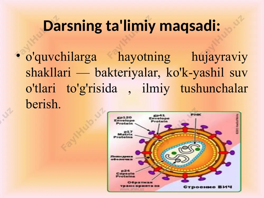 m texnologiyalari (kompyuter darslari.) www.arxiv.uz www.arxiv.uz darsning borishi: tashkiliy qism. o'quvchilar bilimini aniqlash uchun mustaqil o'quv-ish daftarlariga topshiriqlar beriladi. www.arxiv.uz www.arxiv.uz ko'k-yashil suv o'tlarini xususiyatlariga ko'ra ajrating. www.arxiv.uz www.arxiv.uz e’tiboringiz uchun rahmat! www.arxiv.uz www.arxiv.uz