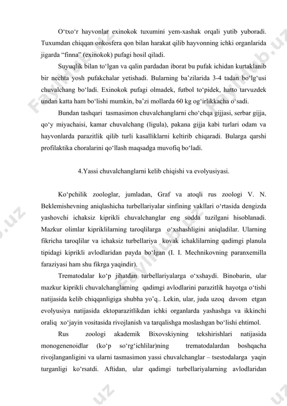 larning avlodlaridan mustaqil ravishda kelib chiqqan. tasmasimonlar (tsestodalar) garchi embrion rivojlanishi va lichinka tuzilishi jihatidan monogenoidlar – kо‘p sо‘rg‘ichlilarga о‘xshash bо‘lsa ham ularning tuzilishida yuqoridagi sinflardan keskin faqlanadigan belgilar kо‘p. shularga asoslanib ba’zi zoologlar hatto, tsestodalarni alohida tip deb hisoblashni takliq etadi. har holda tsestodalar ham turbellariyalarning qadimgi avlodlaridan mustaqil ravishda kelib chiqqan deb hisoblash kerak. rus zoologi s. v. averintsev ham shu fikrda bо‘lgan.
