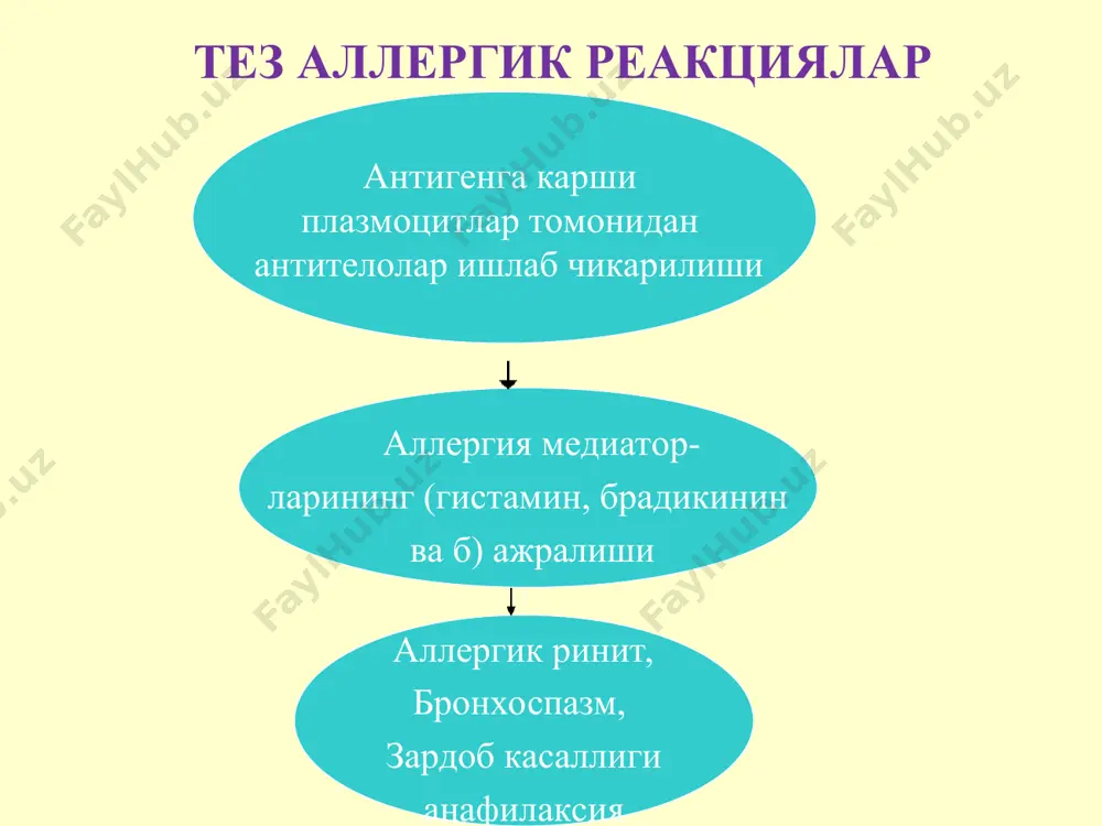абли хар 2-3 хафтада препаратларни алмаштириб туриш керак. фармакокинетик кўрсаткичлари ичилганда сўнг таъсири 30 дакикада бошланади 1-2 соатда максимал самарага эришади таъсир давомийлиги 4-12 соат 70-90 % жигарда метаболизмга учрайди метаболитлари 24 соатда чикиб кетади 1-авлод антигистамин препаратлар * ўзаро таъсирлашуви: наркотик анальгетиклар, этанол, ухлатувчилар, транквилизаторлар таъсирини кучайтиради глюкокортикоидлар, антикоагулянтлар, фенилбутазон таъсирини сусайтиради мао ингибиторларининг таъсирини хаддан ташқари кучайтириб юборади 1-авлод антигистамин препаратлар * клемастин (тавегил) юқори самарали антигистамин препарат, шунингдек, юқори антихолинергик таъсирга эга ичилганда хазм йўлларида яхши сўрилади, плазмада cmax га 2–4 соатда эришади, максимал самараси 5–7 соатда юзага чиқади, қон оқсиллари билан 90–95% боғланади. буйрак орқали метаболитлар холида чиқиб кетади (45–65%). таъсир вақти 8–12 соат (айрим холларда 24 с). турли хил аллергик касалликларни олдини олиш ва даволаш мақсадида, парентерал шакли ангионевротик шиш хамда анафилактик шокнинг комплекс терапиясида қўлланилади 2- ва 3-авлод антигистамин препаратлар юкори селективликка эга серотонино ва м-холинорецепторларга таъсир этмайди таъсири тез бошланиб (30-60 дакикада) ва …
