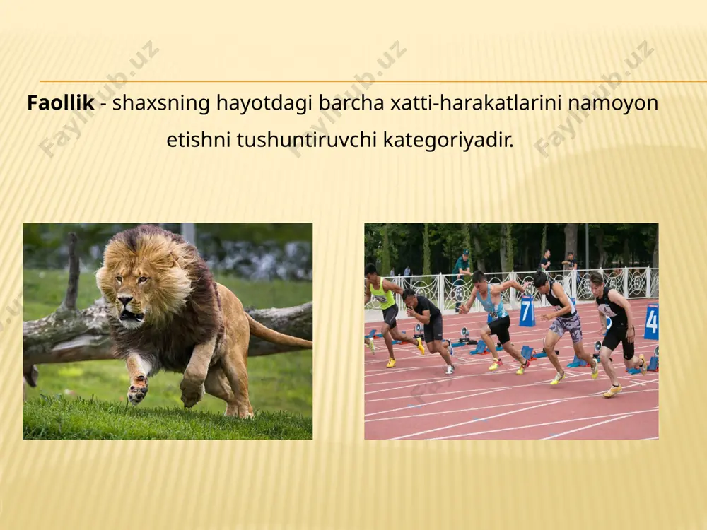 nal avtonomiyaga ega. bir tizimga kiruvchi motivlarni g.olport reaktiv, tashqi undovga muhtojlik qonunlariga bo‘ysunuvchi motivlar, deb ataydi. ammo g.olportning ta’kidlashicha, shaxs ochiq tizimlar kabi o‘zgaruvchi va rivojlanuvchi motivlar bilan tavsiflanadi, degan fikr haqiqatga yaqinroqdir. agar avvalgi tizim motivlarning perseverativ funksional avtonomiyasi, deb atalgan bo‘lsa, keyingi tizimni g.olport propriativ funksional avtonomiya, deb ataydi. rus olimi r.nemov shaxsdagi mavjud ehtiyojlarni ikki guruhga bo‘lgan biologik ehtiyojlar – fiziologik, jinsiy moslashuv ehtiyojlari. ijtimoiy ehtiyojlar – bu mehnat qilish bilan estetik va ahloqiy, ma’naviy ehtiyojlar. a.maslauning ehtiyojlar ierarxiyasi havfsizlik ehtiyoji fiziologik ehtiyojlar muhabbatga ehtiyoj estetik ehtiyoj o‘z-o‘zini namoyon qilish ehtiyoji hurmatga ehtiyoj bilishga ehtiyoji 1.hayvonlar faolligi 2. instinktiv - biologik faollik 3. hamkorlikdagi faoliyat emas, biologik maqsadlar, (oziqlanish, himoyalanish)ga asoslangan to'da bo'lib yurish, faoliyatning muhim xususiyatlari faollik 4. irsiy jihatdan mustahkamlangan dastur (instinkt)lar asosidagi xatti-harakatlar, ko'nikmalar yakka tartibda hosil bo'lib hayvonning yashash uchun tashqi sharoitlarga moslashishi sifatida namoyon bo'ladi. 5. yordamchi qurollar, vositalar yasashi mumkin, …
