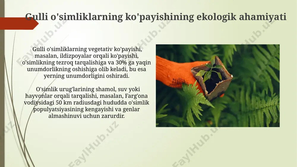 janubiy afrika kabi mintaqalarda unib chiqadi. hayvonlar orqali changlanish o'zbekistonning tog'li hududlarida 30 dan ortiq gulli o'simlik turi mavjud bo'lib, ularning changlanishi murtaklar va kichik kemiruvchilar orqali amalga oshadi, bu esa o'simliklarning biologik xilma-xilligini ta'minlaydi. gulli o'simliklarning 20% dan ortig'i, xususan, markaziy osiyo hududlarida uchraydigan 50 ga yaqin tur, asosan hasharotlar orqali changlanadi, bu esa ularning ko'payishi va genofondining saqlanishi uchun muhim ahamiyatga ega. changlanishda hasharotlarning roli changlanishda 20 dan ortiq hasharot turlari, jumladan, 5 turi asalarilar va 7 turi kapalaklar, qashqadaryo viloyatining tog'li hududlarida gulli o'simliklarning changlanishida muhim rol o'ynaydi. taxminan 15% gulli o'simliklarning urug'lari, namangan viloyatida kuzatilganidek, shamollashdan tashqari, hasharotlar orqali tarqaladi, chunki ular urug'larga yopishib oladi yoki ularni iste'mol qilib, keyinchalik chiqaradi. inson faoliyati va urug' tarqalishi inson faoliyati natijasida, masalan, 100 ga yaqin turdagi o'simlik urug'lari jahonning turli burchaklariga, jumladan, avstraliya va janubiy amerika kabi uzoq mintaqalarga, transport vositalari orqali tarqalmoqda. qishloq xo'jaligidagi intensiv dehqonchilik usullari, …