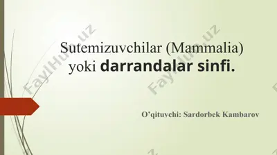 sutemizuvchilar (mammalia) — PPTX