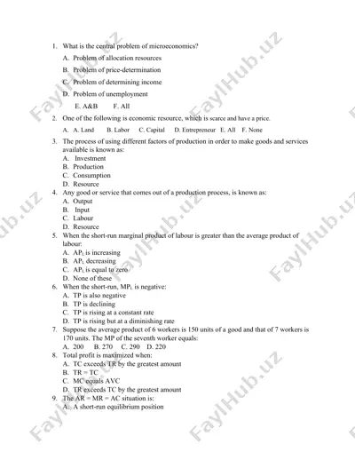 microeconomics quiz — DOC