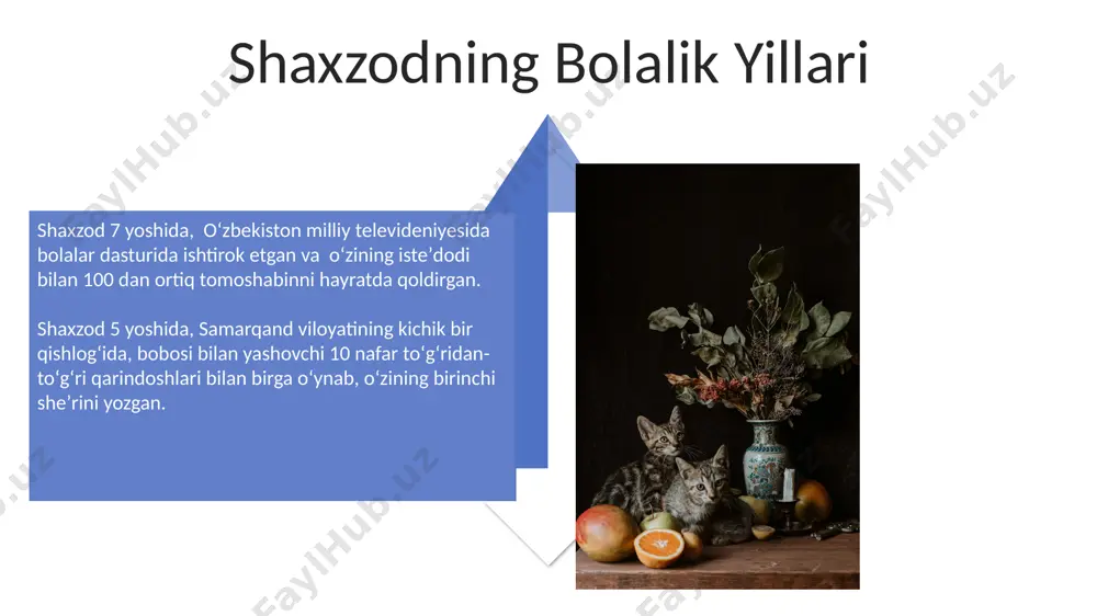 shaxzodaning hayoti - Page 4